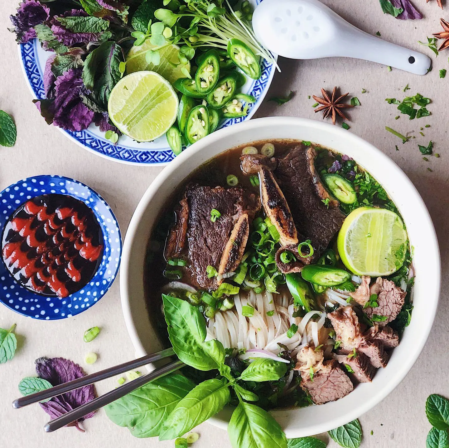 Shortcut Short Rib Pho in a Slow Cooker