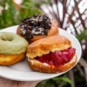sf dough - donuts on plate in front of plants