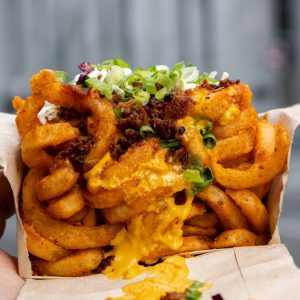 the bird sf - fully loaded fries