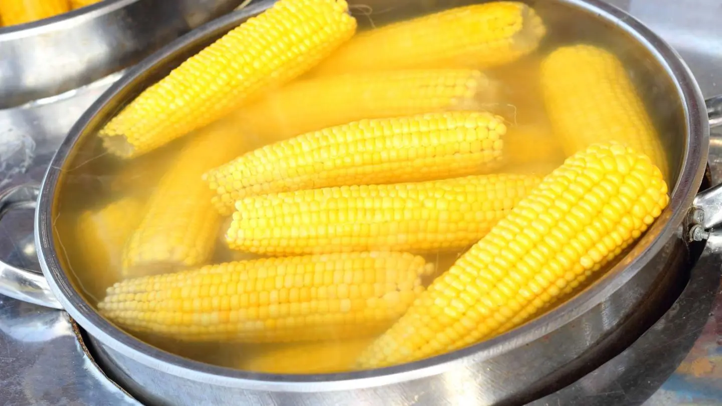 how to boil corn on the cob - large number of corn ears in a big pot