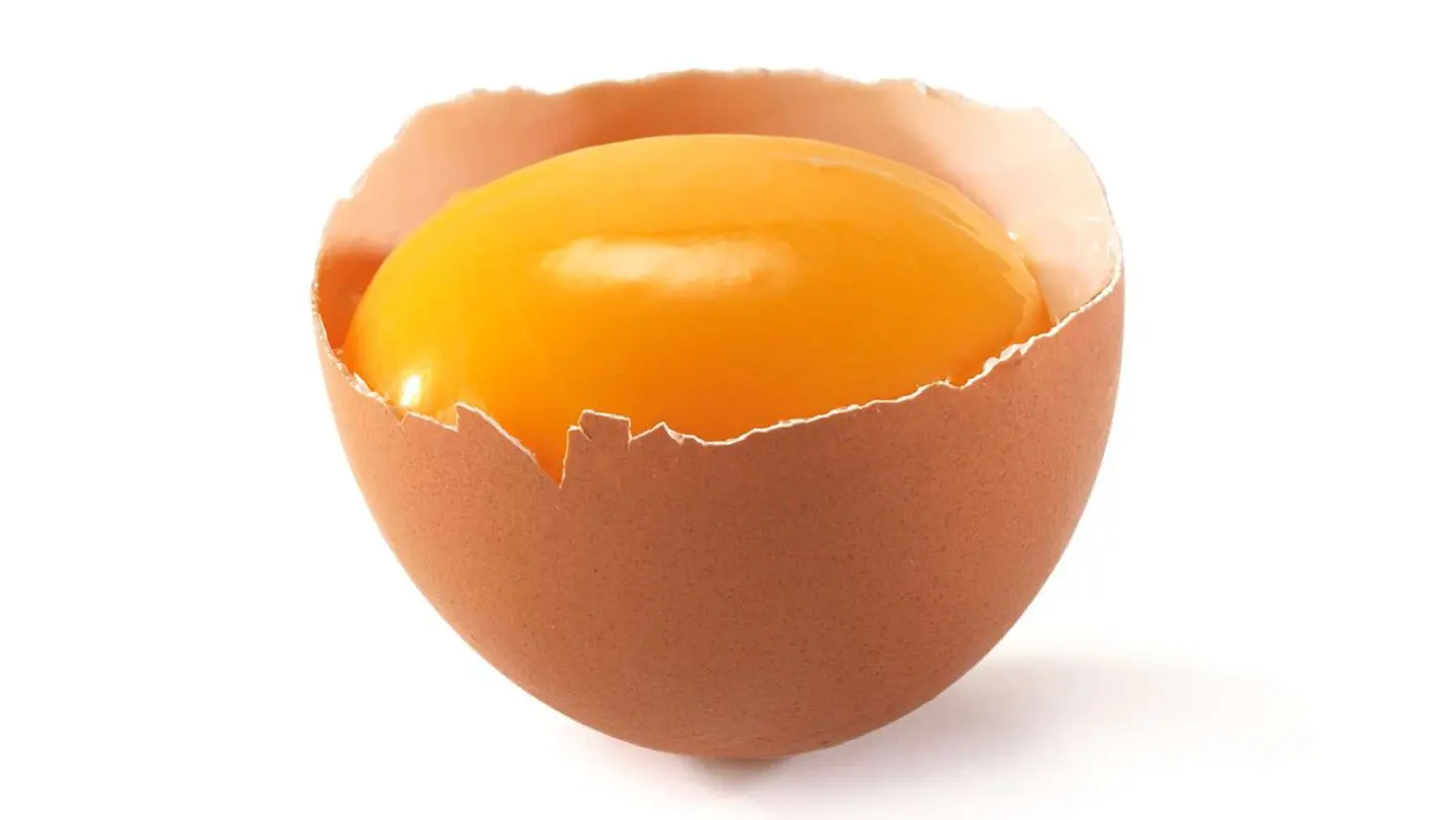 how to cut a recipe in half - an egg shell cracked in half with a yolk sitting inside